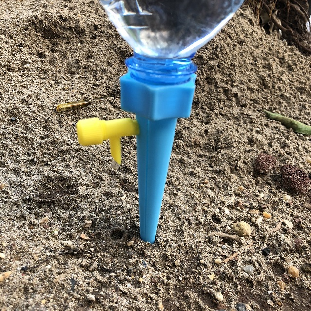 Bộ tưới nhỏ giọt bằng chai nhựa giúp chăm sóc cây trồng khi vắng nhà